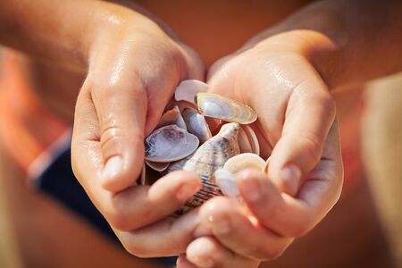 mussel shells in the hand of a childの写真素材