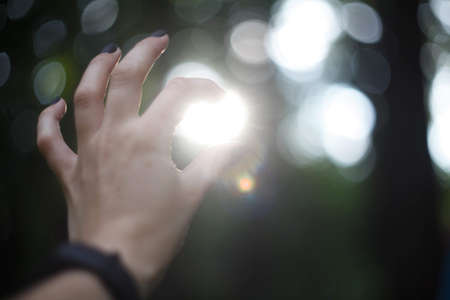 Hand catch the sun light on green background of treesの写真素材
