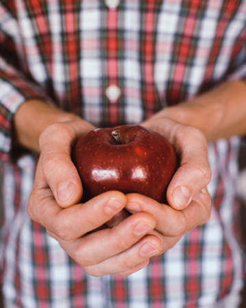 Male hands holding a red appleの写真素材