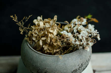 Still life composition.Dry flowers in an old vase with black background and wooden tableの写真素材