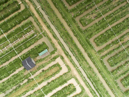 Rural sceneryの写真素材