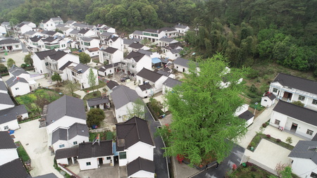 Village sceneryの写真素材