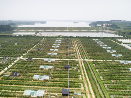 Rural sceneryの写真素材