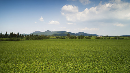Countryside autumn sceneryの写真素材