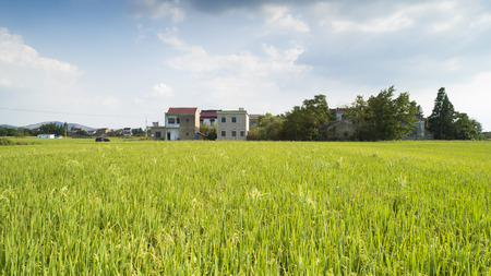 Countryside autumn sceneryの写真素材