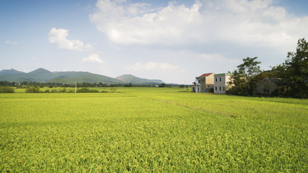 Countryside autumn sceneryの写真素材
