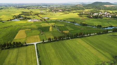Autumn rural scenery in southern anhui province, Chinaの写真素材