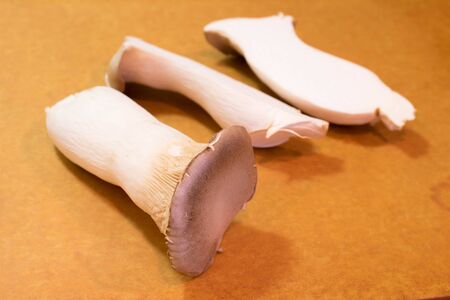 Mushroomの写真素材