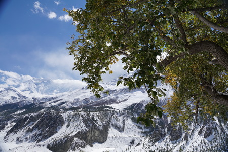 Himalayan viewの写真素材