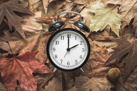 Classic Alarm Clock on Autumn Leaves - Fall Back - Daylight Saving Timeの写真素材