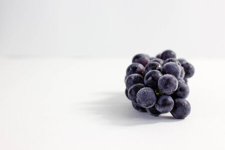 blue grape on a white backgroundの写真素材