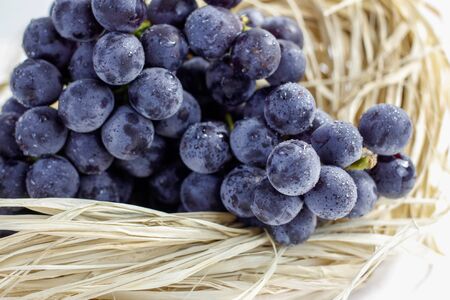 blue grape with raffia on a white backgroundの写真素材