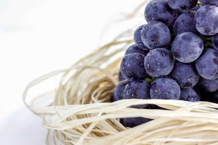 blue grape with raffia on a white backgroundの写真素材