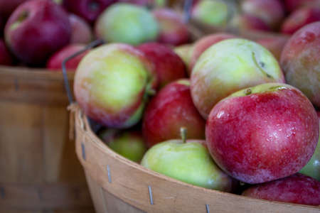 apples in a wood basketの写真素材