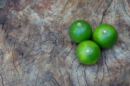 lemonの写真素材