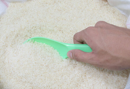 scoop riceの写真素材