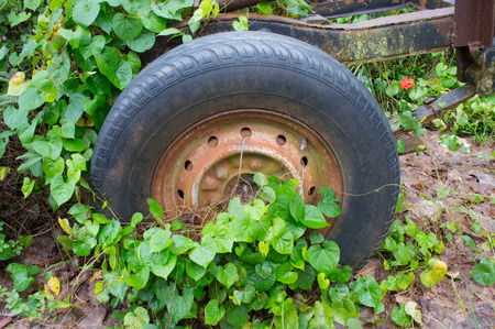 Old wheelsの写真素材