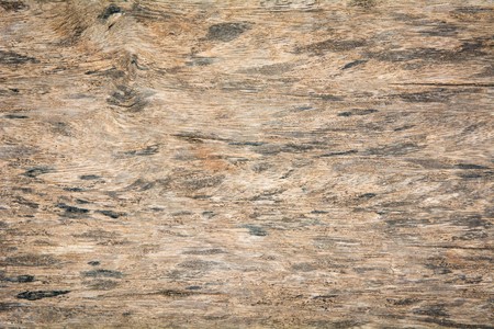 Wood texture backgroundの写真素材