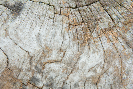 Wood texture backgroundの写真素材