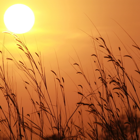 Orange sky and dramatic sunの写真素材