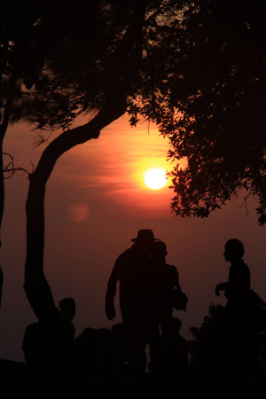 silhouette sunsetの写真素材