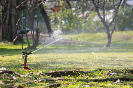 sprinklerの写真素材