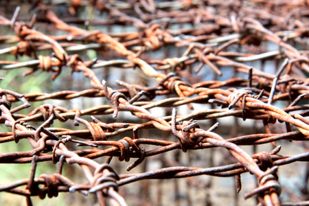 Rusty barbed wireの写真素材