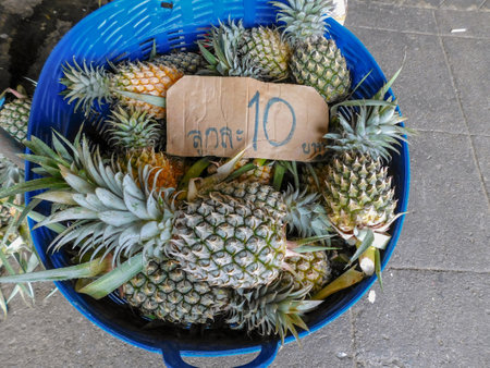 A large blue basket full of small freshly harvested pineapples.の写真素材