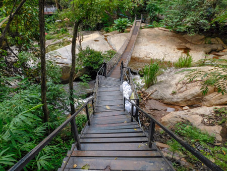 Several short sets of stairs lead down to a narrow suspension bridge in the Mae Rim district of Chiang Mai, Thailand.の写真素材