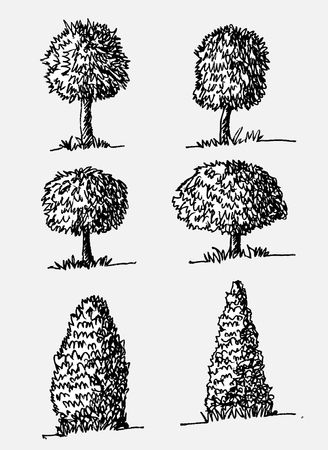 Vector trees with leavesのイラスト素材