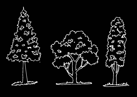 Vector trees with leavesのイラスト素材