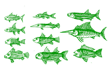 hand drawn fish Vector illustrationのイラスト素材
