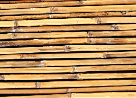 Bamboo background illustrationのイラスト素材