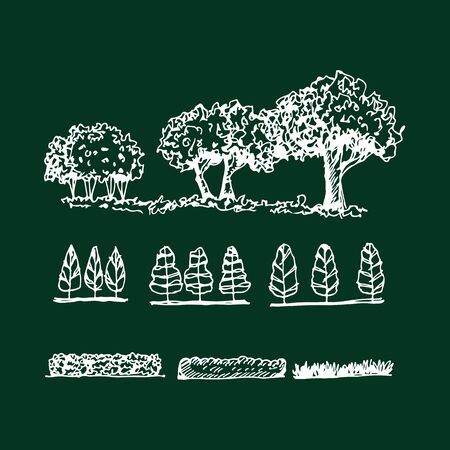 Hand Draw Tree Icon Illustration designのイラスト素材