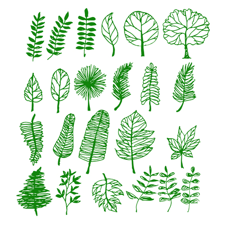 Hand drawn tree iconのイラスト素材