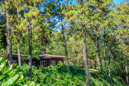 Viewpoint at Huay Nam Dang national park  , Chiangmai, Thailand