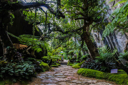 A landscape garden forest style