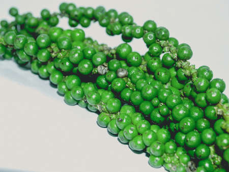 green peppers