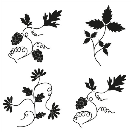 Silhouette of a grapevine, plants, leaves. のイラスト素材