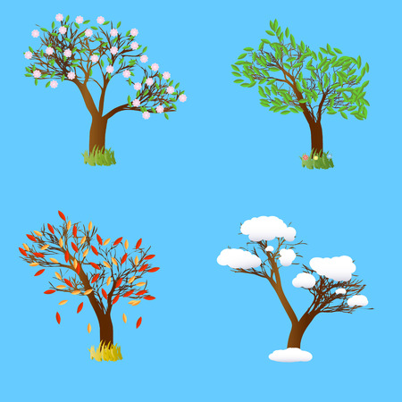 Four seasons tree のイラスト素材