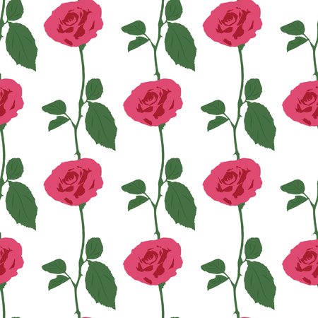 Pink roses on the white background.のイラスト素材