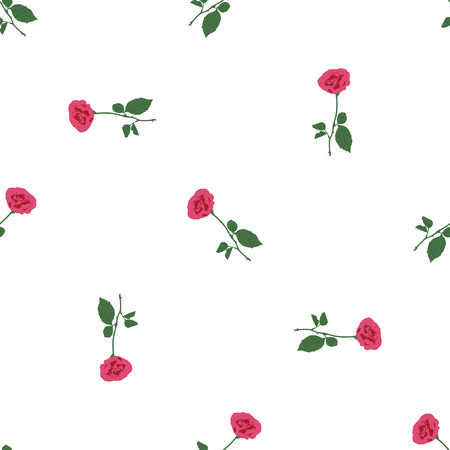 Pink roses on the white background.のイラスト素材