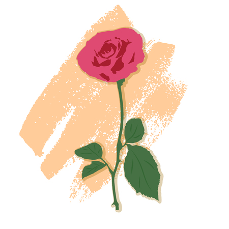 illustration of a rose.のイラスト素材