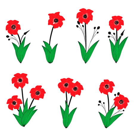 Set of red flowers. Bouquets of red flowers. Red poppyのイラスト素材