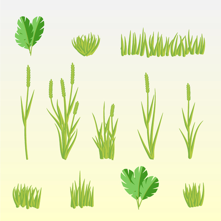 Green grass set vector. The grass is wild, different and the ears.のイラスト素材