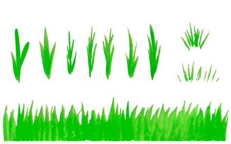 Hand drawn watercolor grass set isolated on white background. Sketch grass. Light green watercolor grass pattern. Abstract grass.のイラスト素材