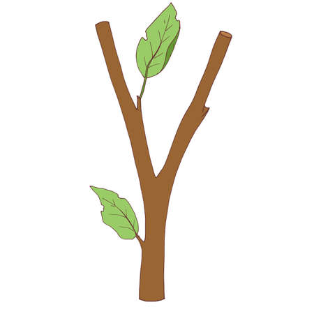 a tree branch, with a couple of ragged leaves. Vectorのイラスト素材