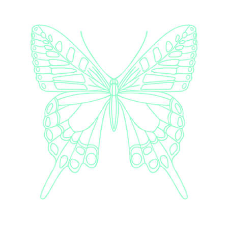 Butterfly vector iconのイラスト素材