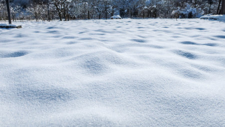 Field covered with snow, top view.の写真素材