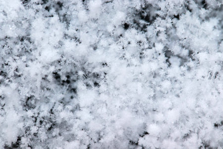 Snow grains and snowflakes are sprinkled on a black background. Freshly fallen snow, winter dayの写真素材